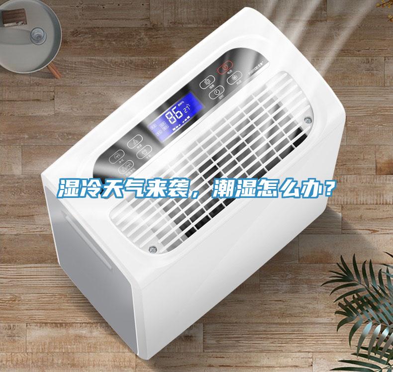 濕冷天氣來襲，潮濕怎么辦？