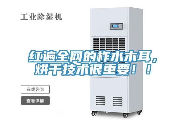 紅遍全網(wǎng)的柞水木耳，烘干技術很重要??！