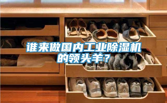 誰來做國(guó)內(nèi)工業(yè)除濕機(jī)的領(lǐng)頭羊？