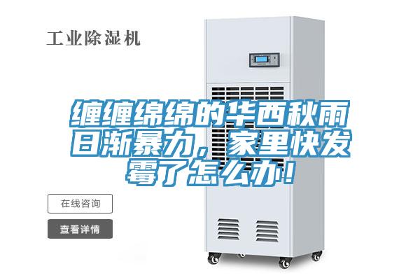 纏纏綿綿的華西秋雨日漸暴力，家里快發(fā)霉了怎么辦！