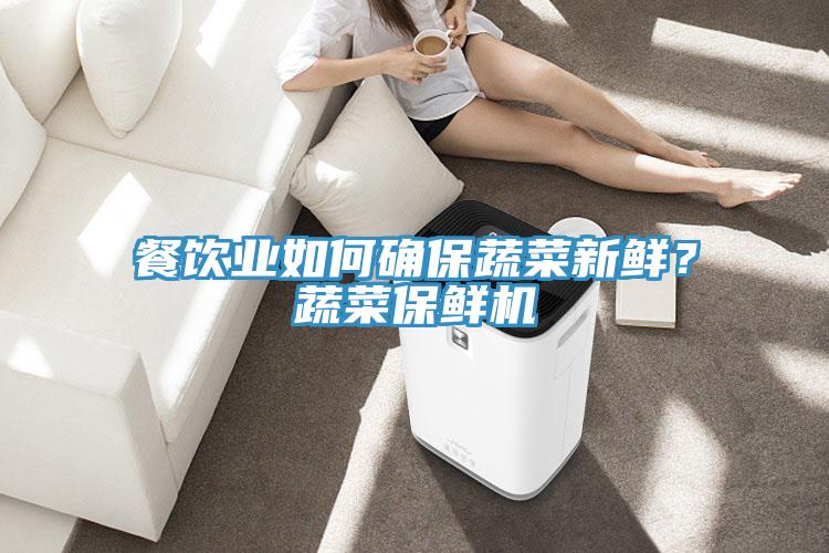 餐飲業(yè)如何確保蔬菜新鮮？蔬菜保鮮機