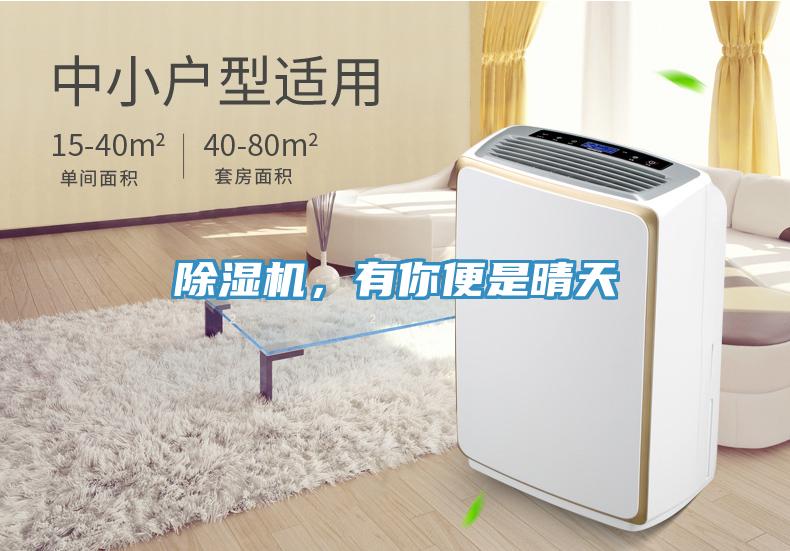除濕機(jī)，有你便是晴天