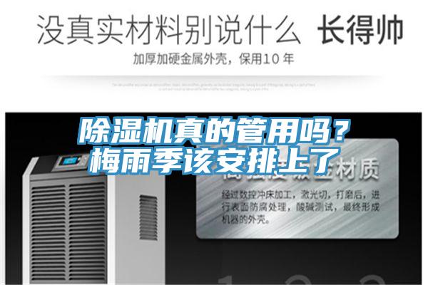 除濕機真的管用嗎？梅雨季該安排上了