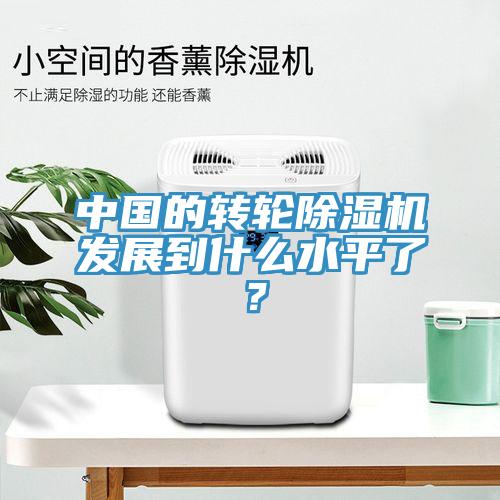 中國的轉(zhuǎn)輪除濕機發(fā)展到什么水平了？