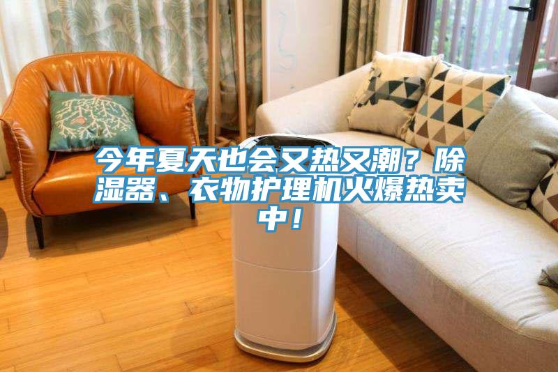 今年夏天也會又熱又潮？除濕器、衣物護理機火爆熱賣中！