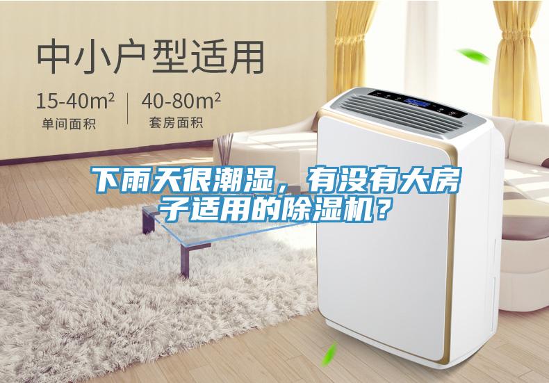 下雨天很潮濕，有沒有大房子適用的除濕機(jī)？