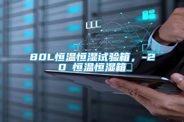 80L恒溫恒濕試驗(yàn)箱，-20℃恒溫恒濕箱