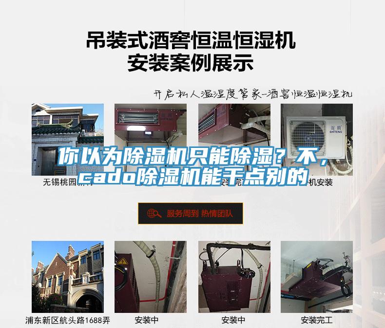 你以為除濕機只能除濕？不，cado除濕機能干點別的