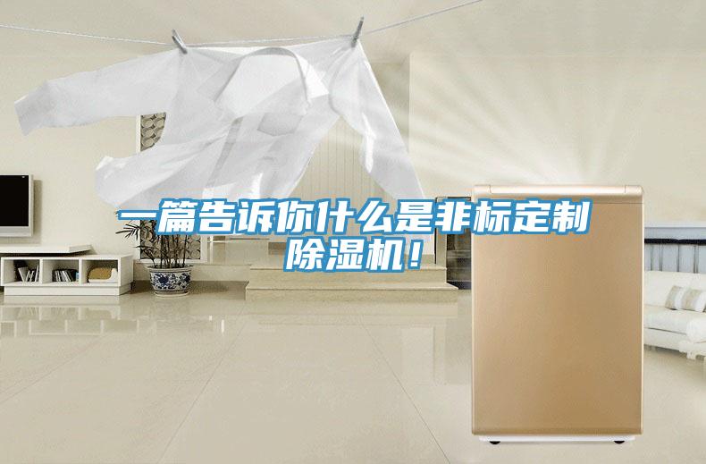 一篇告訴你什么是非標(biāo)定制除濕機(jī)！