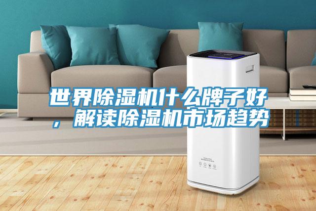 世界除濕機(jī)什么牌子好，解讀除濕機(jī)市場(chǎng)趨勢(shì)