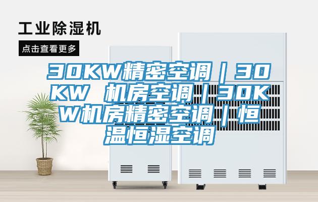 30KW精密空調(diào)|30KW 機房空調(diào)|30KW機房精密空調(diào)|恒溫恒濕空調(diào)