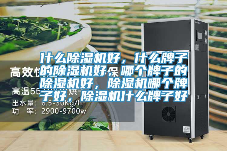 什么除濕機好，什么牌子的除濕機好，哪個牌子的除濕機好，除濕機哪個牌子好，除濕機什么牌子好