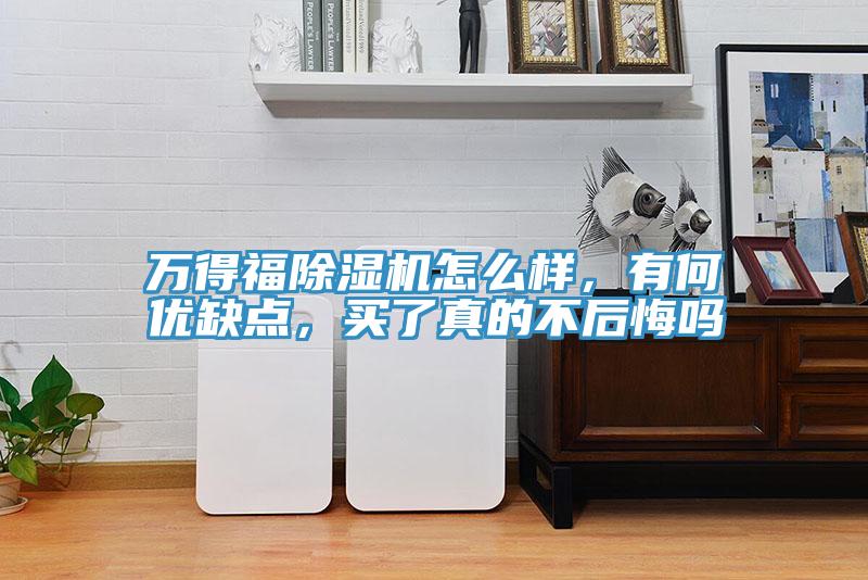 萬得福除濕機怎么樣，有何優(yōu)缺點，買了真的不后悔嗎