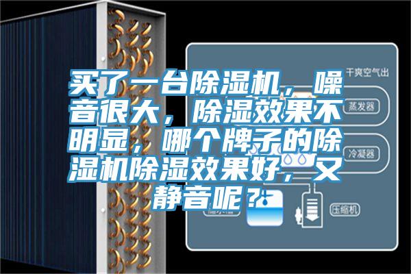 買了一臺除濕機，噪音很大，除濕效果不明顯，哪個牌子的除濕機除濕效果好，又靜音呢？