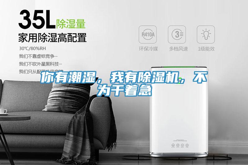 你有潮濕，我有除濕機，不為干著急