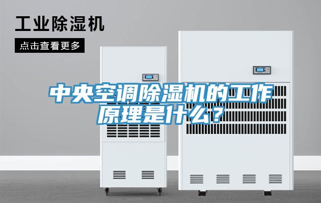 中央空調(diào)除濕機(jī)的工作原理是什么？