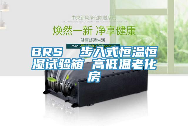 BRS 步入式恒溫恒濕試驗(yàn)箱 高低溫老化房