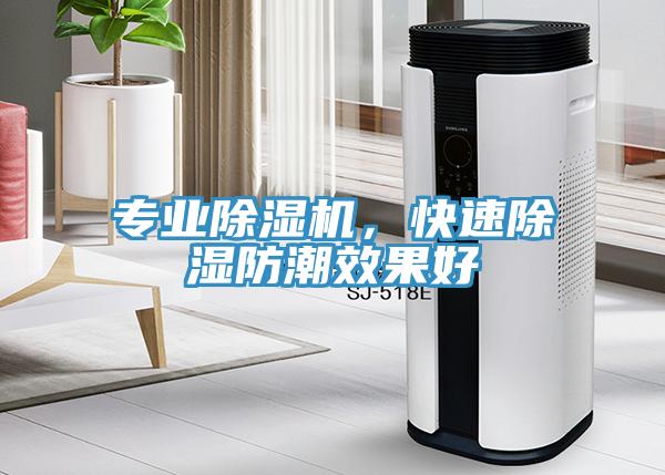 專業(yè)除濕機(jī)，快速除濕防潮效果好