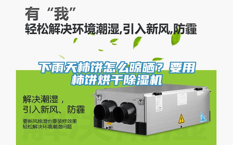 下雨天柿餅怎么晾曬？要用柿餅烘干除濕機(jī)
