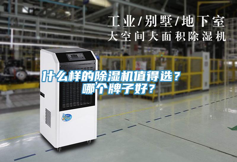 什么樣的除濕機值得選？ 哪個牌子好？