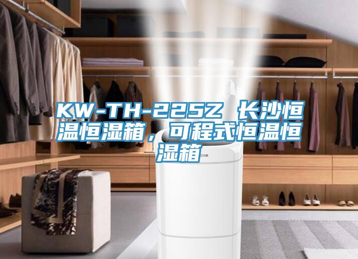 KW-TH-225Z 長(zhǎng)沙恒溫恒濕箱，可程式恒溫恒濕箱
