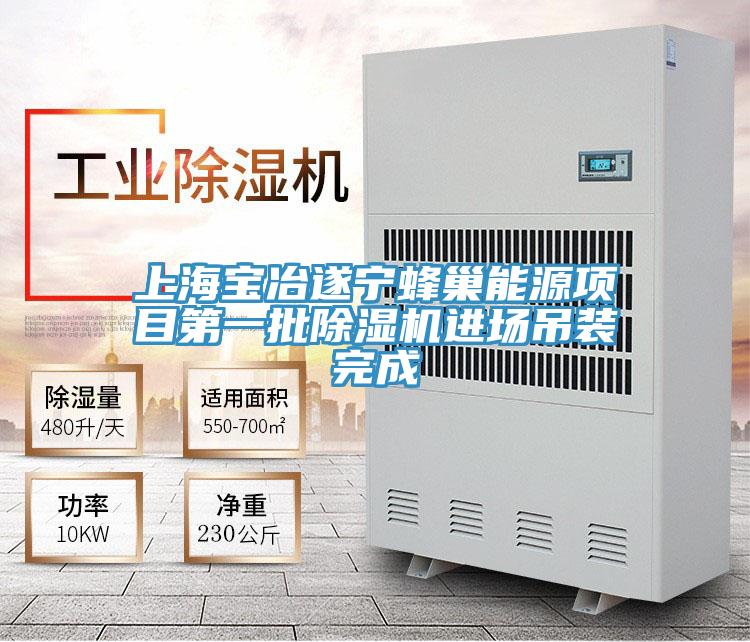 上海寶冶遂寧蜂巢能源項目第一批除濕機(jī)進(jìn)場吊裝完成