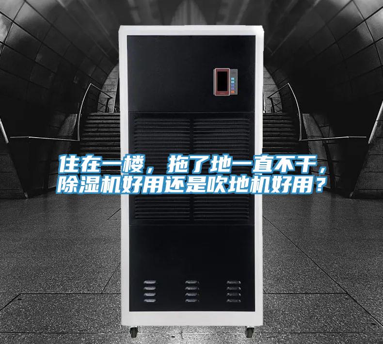 住在一樓，拖了地一直不干，除濕機好用還是吹地機好用？