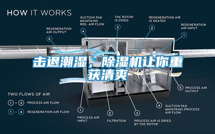 擊退潮濕，除濕機讓你重獲清爽
