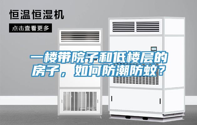 一樓帶院子和低樓層的房子，如何防潮防蚊？