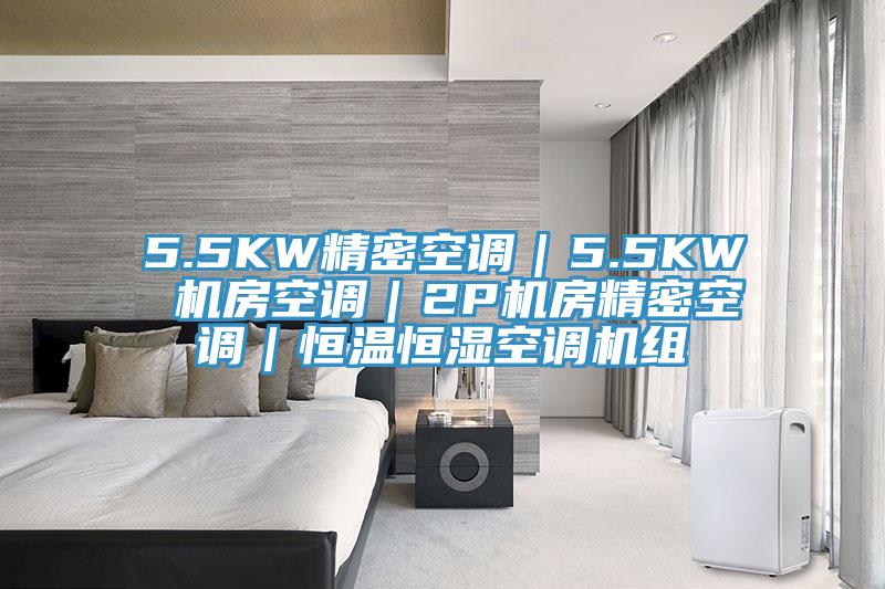 5.5KW精密空調(diào)|5.5KW 機房空調(diào)|2P機房精密空調(diào)|恒溫恒濕空調(diào)機組
