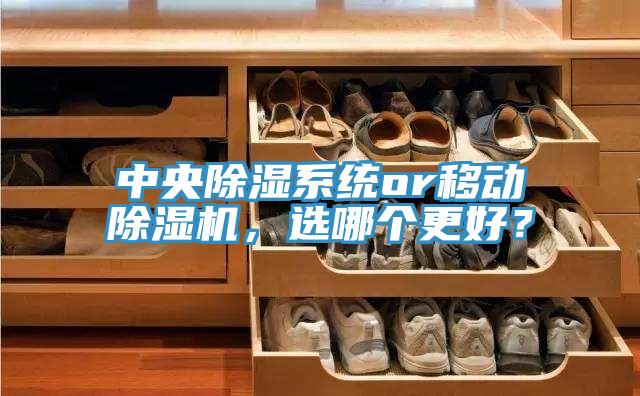 中央除濕系統(tǒng)or移動除濕機，選哪個更好？