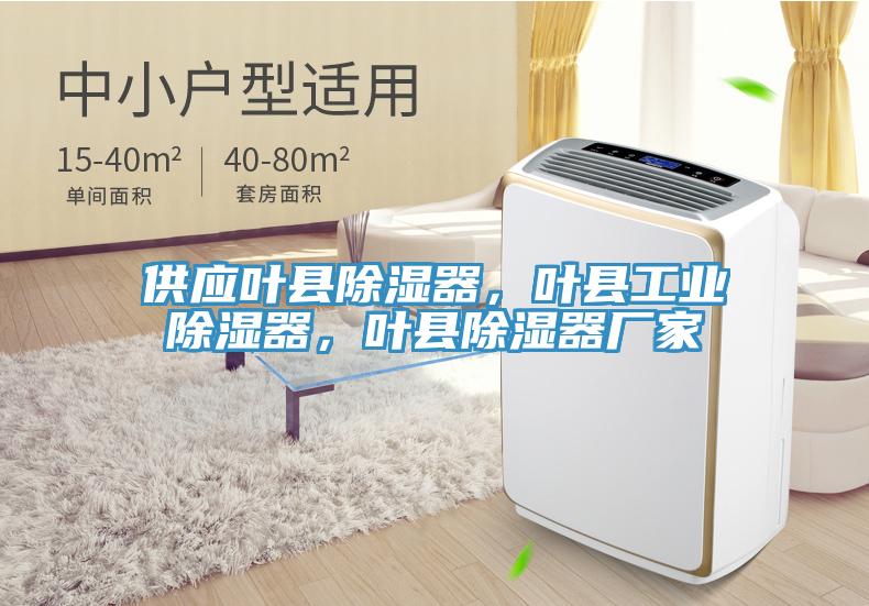 供應(yīng)葉縣除濕器，葉縣工業(yè)除濕器，葉縣除濕器廠家