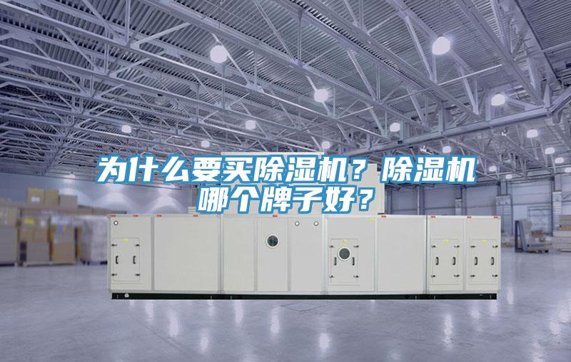 為什么要買除濕機(jī)？除濕機(jī)哪個(gè)牌子好？