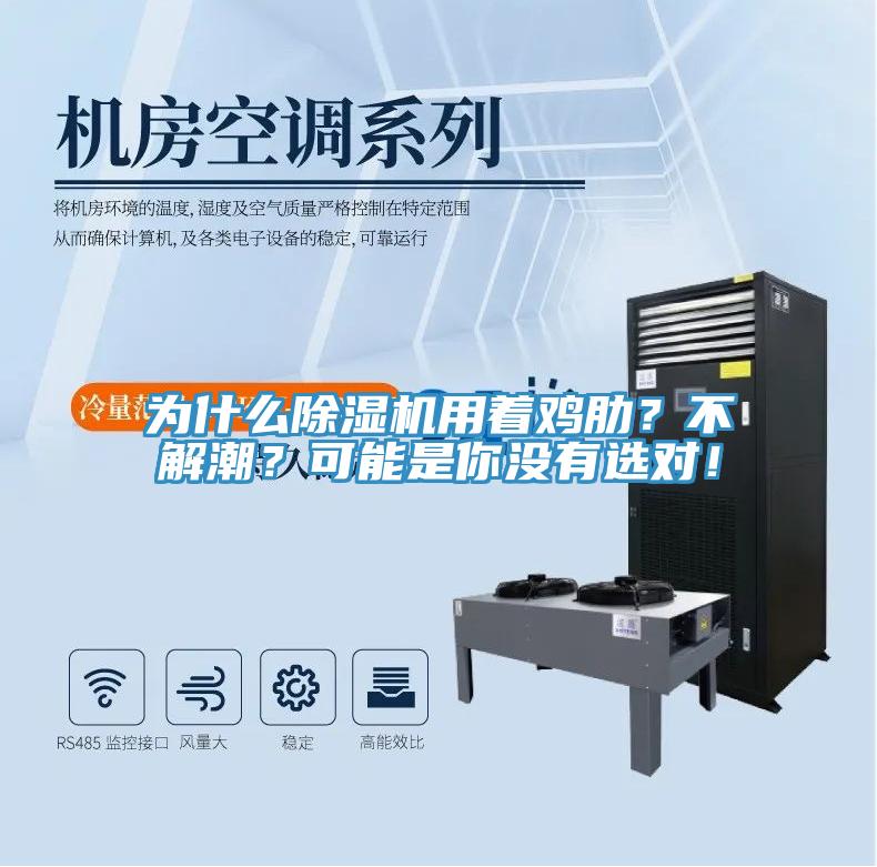 為什么除濕機用著雞肋？不解潮？可能是你沒有選對！