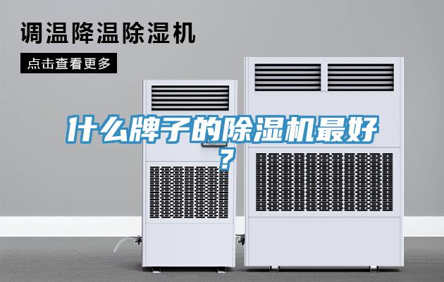 什么牌子的除濕機最好？
