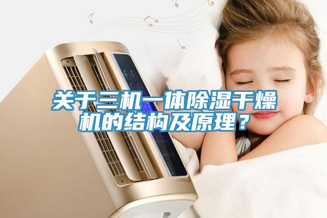 關(guān)于三機(jī)一體除濕干燥機(jī)的結(jié)構(gòu)及原理？