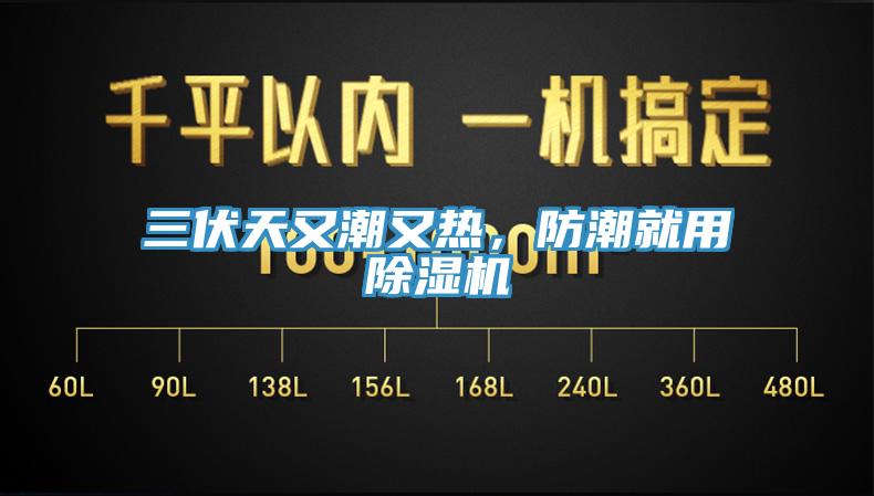 三伏天又潮又熱，防潮就用除濕機