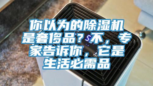 你以為的除濕機是奢侈品？不，專家告訴你，它是生活必需品
