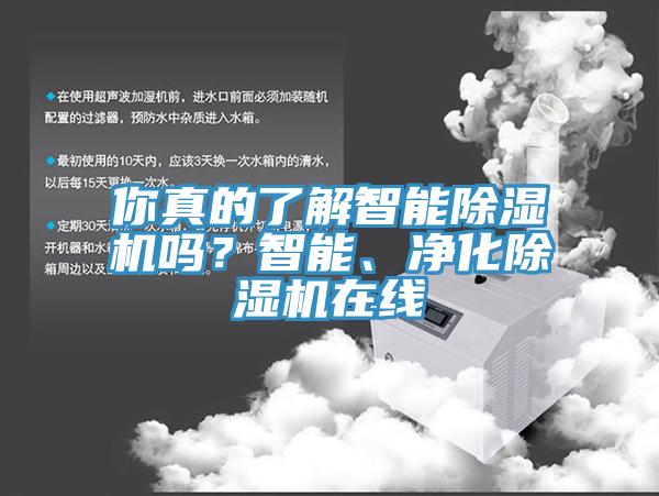 你真的了解智能除濕機嗎？智能、凈化除濕機在線