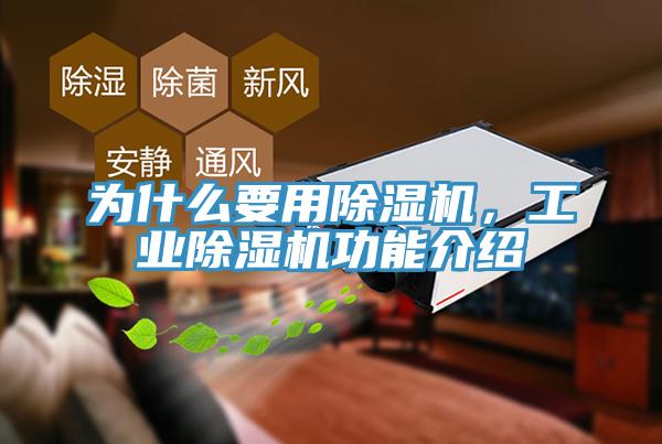 為什么要用除濕機，工業(yè)除濕機功能介紹