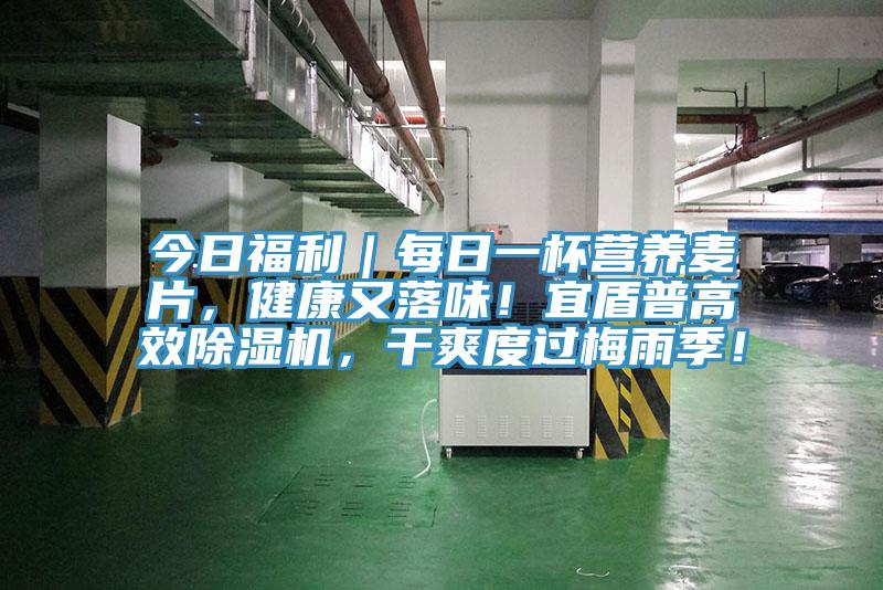 今日福利｜每日一杯營養(yǎng)麥片，健康又落味！宜盾普高效除濕機，干爽度過梅雨季！