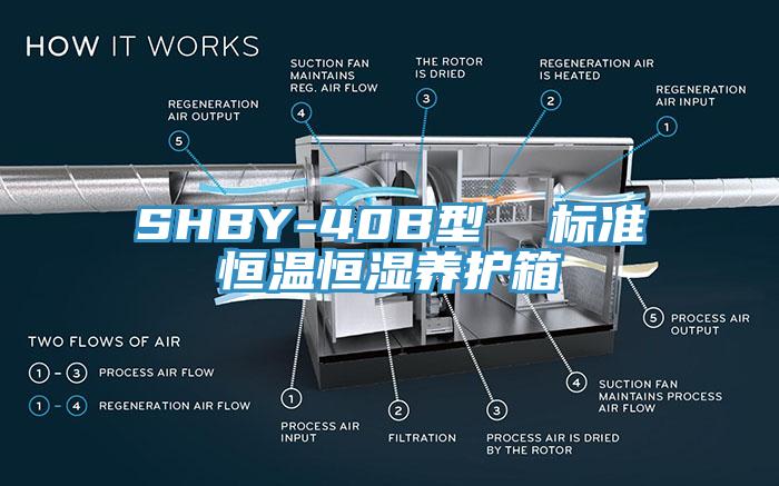 SHBY-40B型 標準恒溫恒濕養(yǎng)護箱