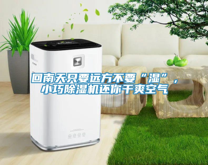 回南天只要遠方不要“濕”，小巧除濕機還你干爽空氣