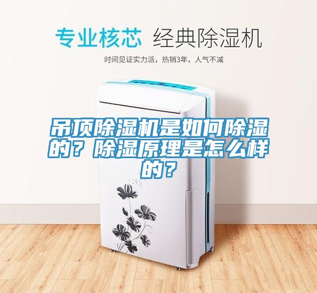 吊頂除濕機(jī)是如何除濕的？除濕原理是怎么樣的？