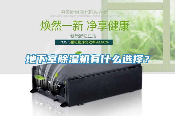 地下室除濕機有什么選擇？