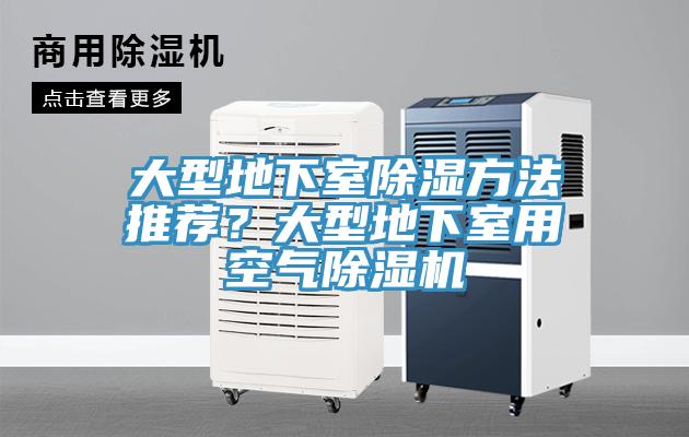 大型地下室除濕方法推薦？大型地下室用空氣除濕機(jī)