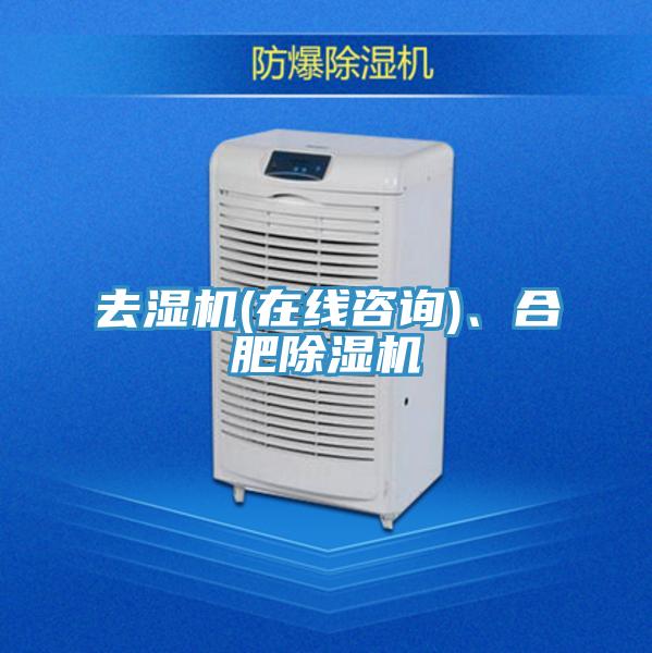 去濕機(jī)(在線咨詢)、合肥除濕機(jī)