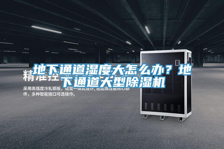 地下通道濕度大怎么辦？地下通道大型除濕機(jī)