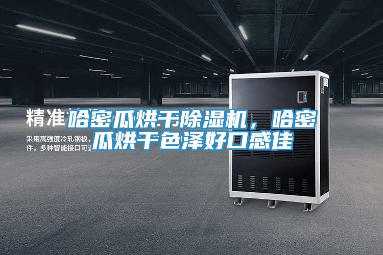 哈密瓜烘干除濕機，哈密瓜烘干色澤好口感佳