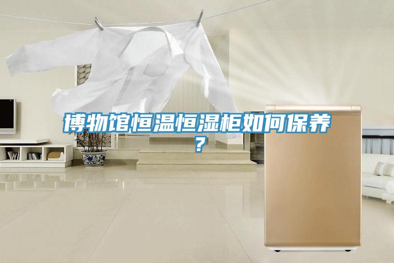 博物館恒溫恒濕柜如何保養(yǎng)？